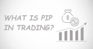 Read more about the article What is Pip in Trading?